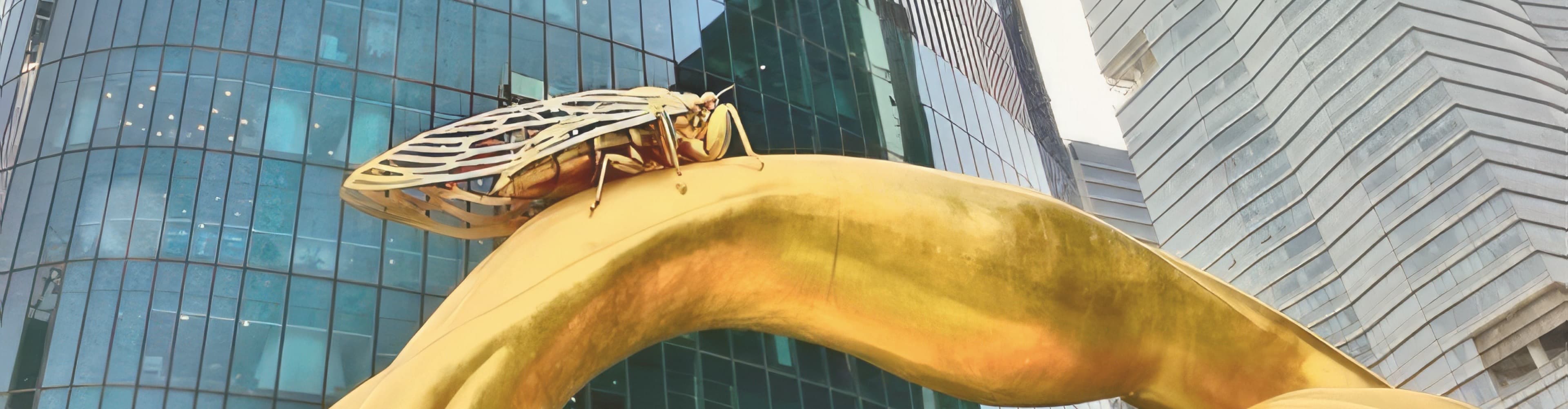 28圈APP(中国游)官方网站