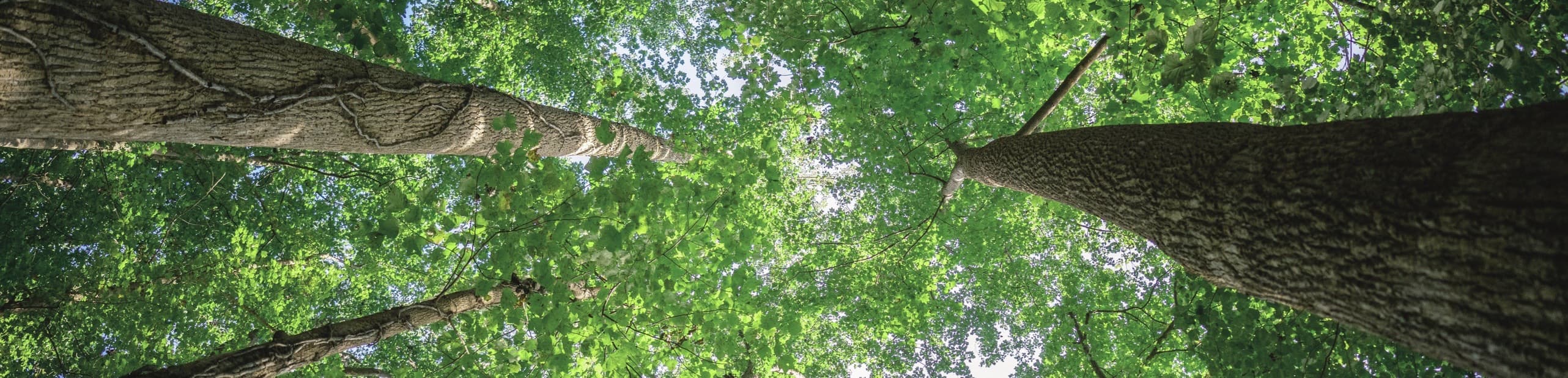 28圈APP(中国游)官方网站